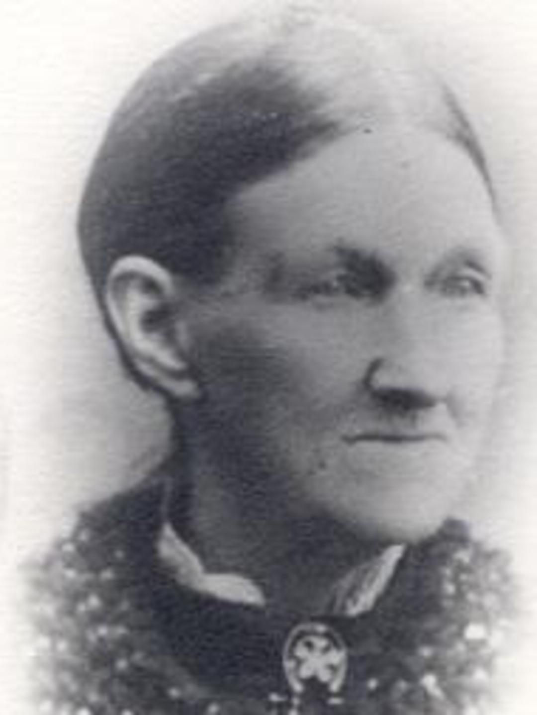 Louisa Smith (1818 - 1891) Profile